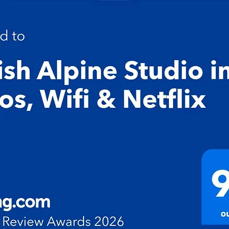 Stylish Alpine In Davos, Wifi & Netflix Apartment Davos