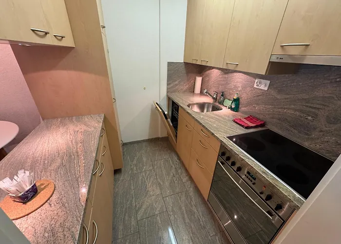 Stylish Alpine In Davos, Wifi & Netflix * Davos