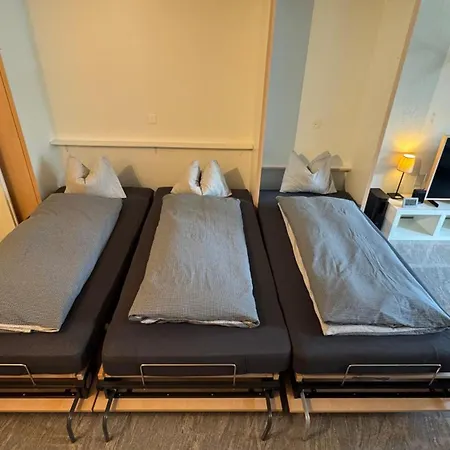 Stylish Alpine In Davos, Wifi & Netflix Νταβός